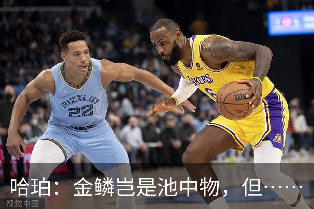 哈珀：金鳞岂是池中物，但……