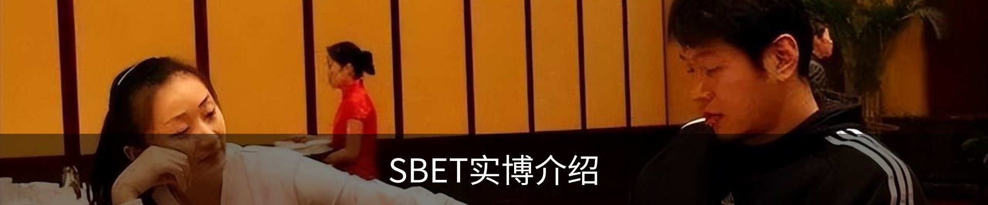 SBET实博介绍